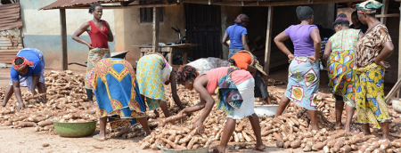 Improving entrepreneurial-p1.jpg: The Government of Benin is implementing various initiatives to promote youth and women entrepreneurship in agribusiness.