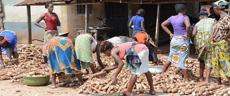 Improving entrepreneurial-p1.jpg: The Government of Benin is implementing various initiatives to promote youth and women entrepreneurship in agribusiness.