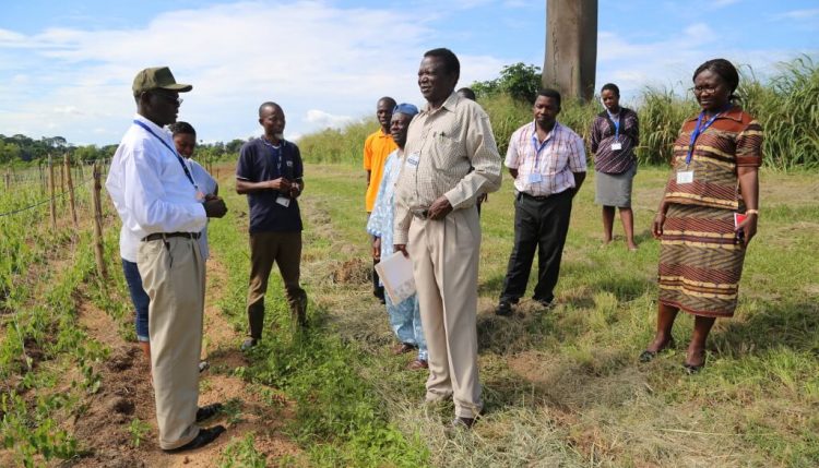 Norbert Maroya (left) explaining project field trials to new TAC members as well as IITA YIIFSWA project team.