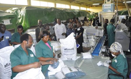 Picture of AgResults implementers visit the aflasafe plant in IITA, Ibadan