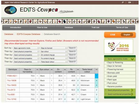 Screen grab of The EDIT-Cowpea database (pictured above) enables cowpea breeders to identify genotypes with favorable target traits.