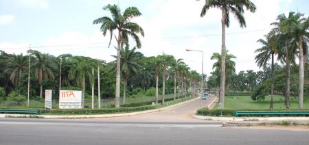 Picture of The AAHC conference will be held at the IITA-Ibadan campus.