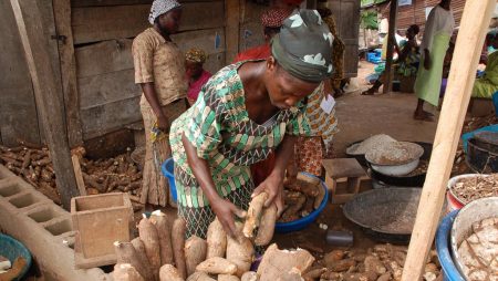 Picture of Millions of African households depend on cassava for their livelihoods.