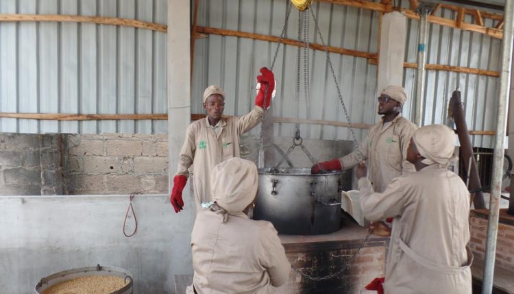 Picture of Lafia Innovation Platfrom members working on the GEM technology parboiler.