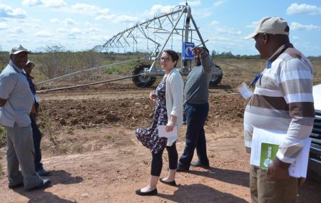 Picture of DDG Saethre being briefed by Chikoye and other scientists on activities at the experimental field at SARAH.
