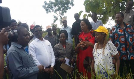 Picture of Hon Dr Charles Tizeba, Tanzania’s Minister for Agriculture Livestock and Fisheries (far left), when he visited the Africa RISING Project farmer demonstration site at Kigugu Irrigation Scheme in Mvomero District.