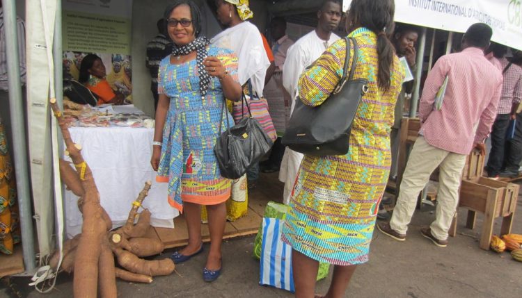 Picture of Visitor appreciating improved IITA cassava