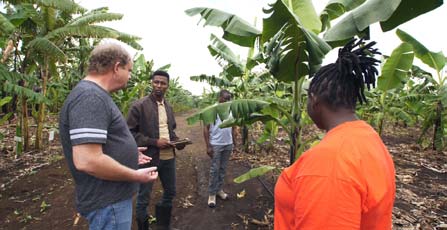 Picture of Banana Breeder Allan Brown in a discussion with members of the research team.