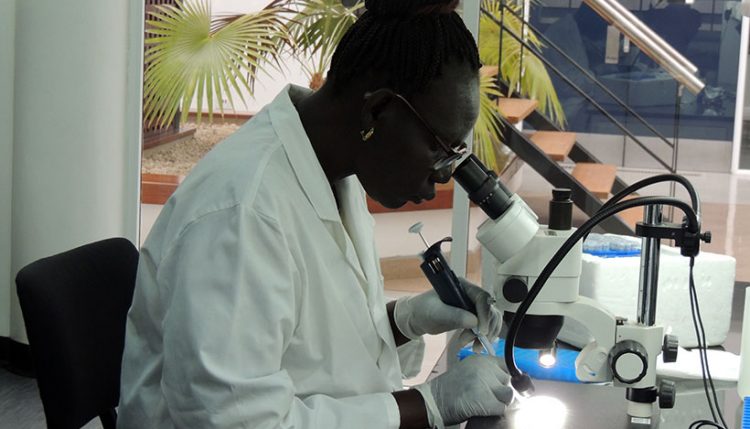 Beatrice Langwa in the lab at IITA-Tanzania.
