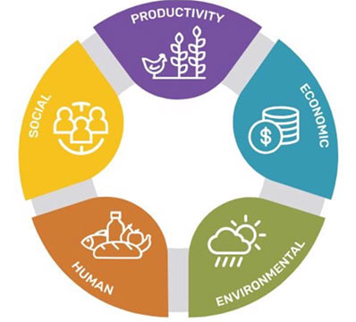 The five domains of sustainable intensification.