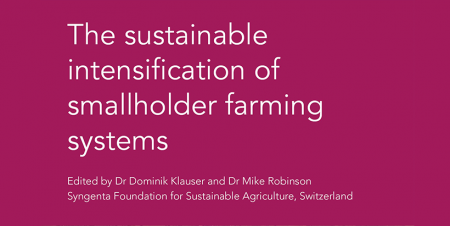 New publication tackles how best to support smallholder farmers