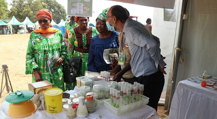 Agropastoral and social fair showcases IITA’s technologies and achievements in Cameroon