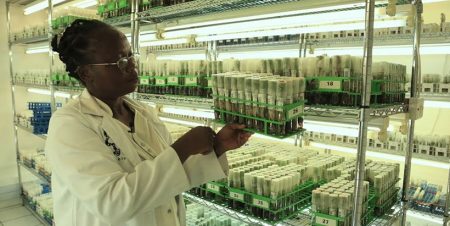 CGIAR Germplasm Health Units contributing to global phytosanitary systems