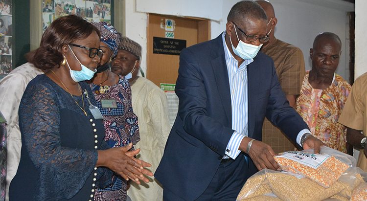 IITA donates elite planting materials to boost FCT farmers’ productivity